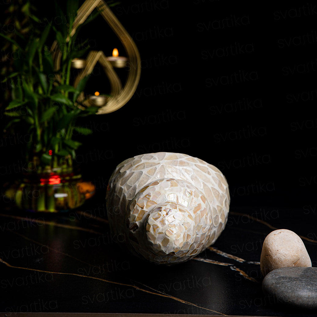 decorative shell for home decor