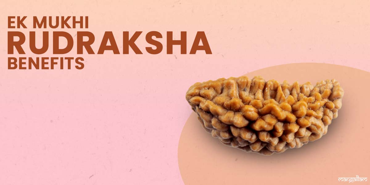 ek mukhi rudraksha benefits