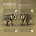 brass elephant benefits