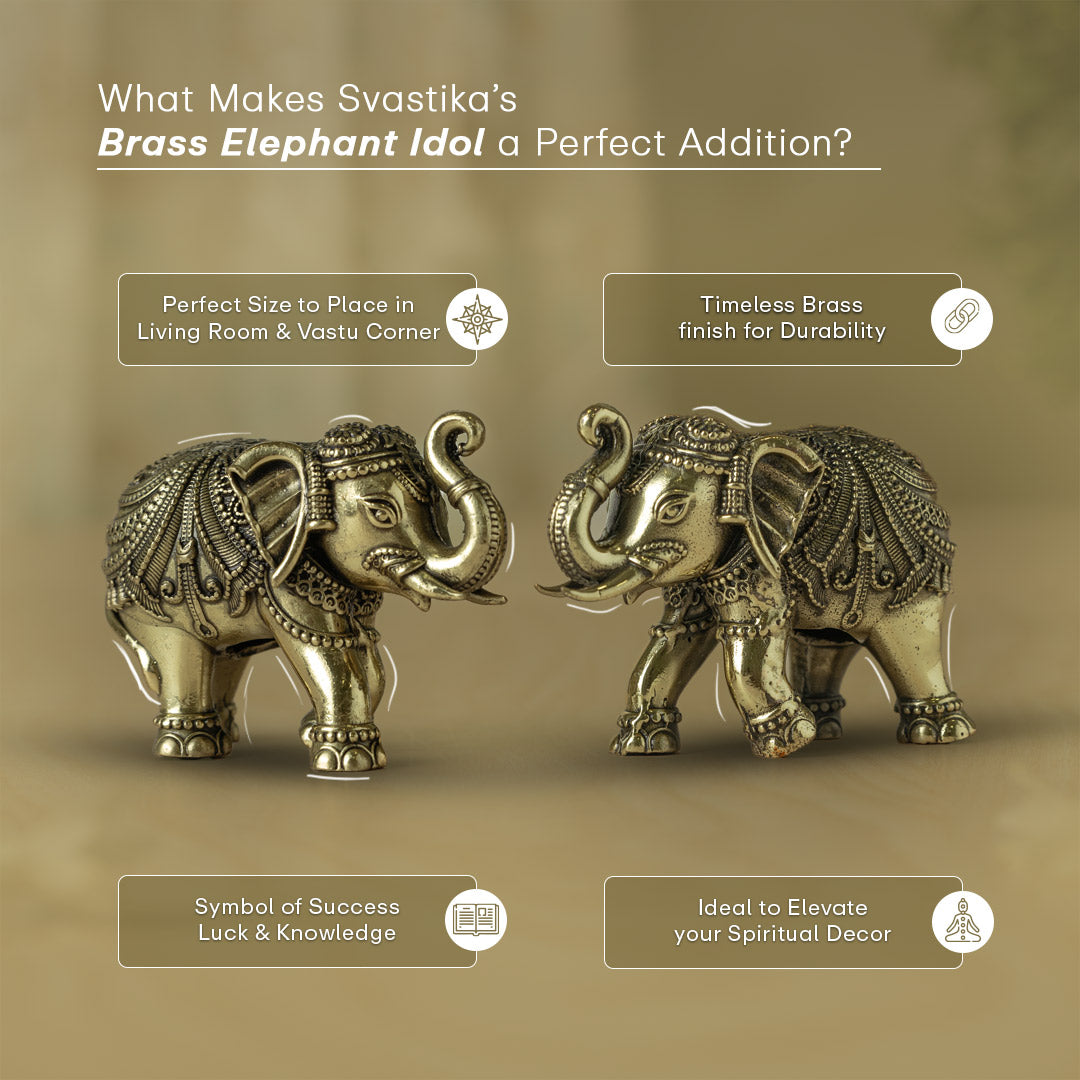 brass elephant benefits