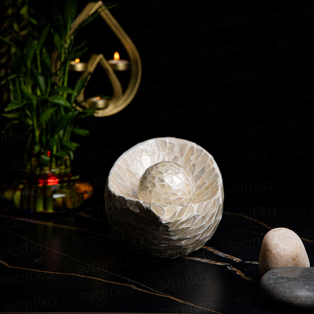 Luxury Artistic Conch Shell for Home Decor