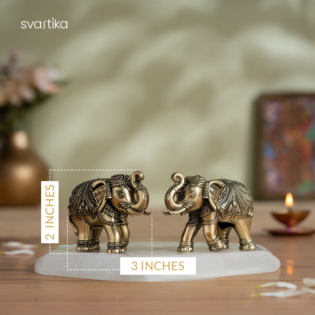 Brass Vastu Trunk Up Brass Elephant Statue Pair 