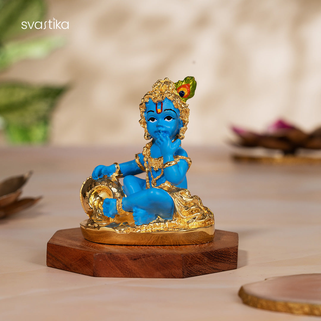 Laddu Gopal Krishna Makhan Murti 