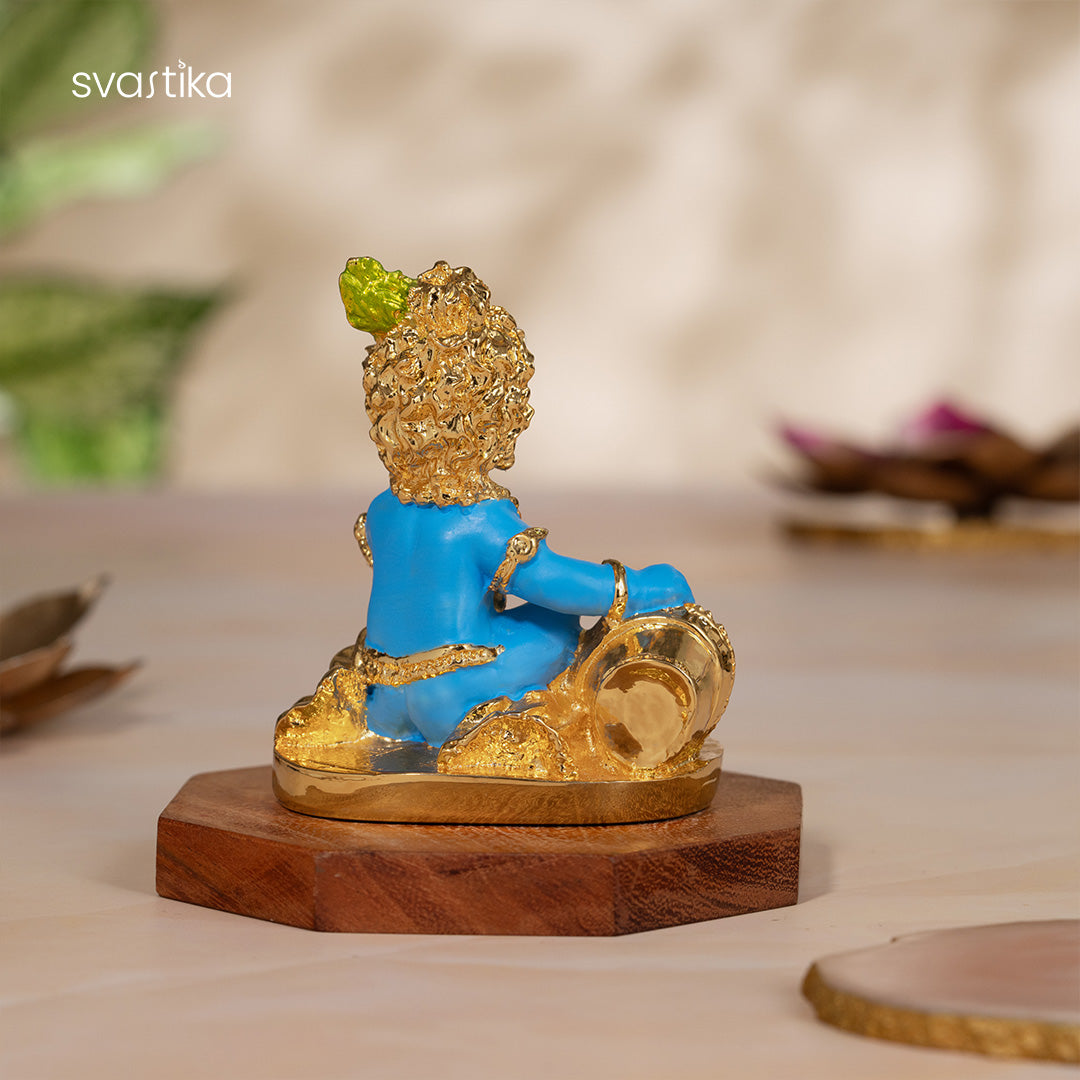 Laddu Gopal Krishna Makhan Murti 