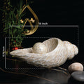 Luxury Artistic Conch Shell for Home Decor