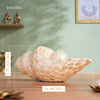 Artistic Conch Shell for Home Decor