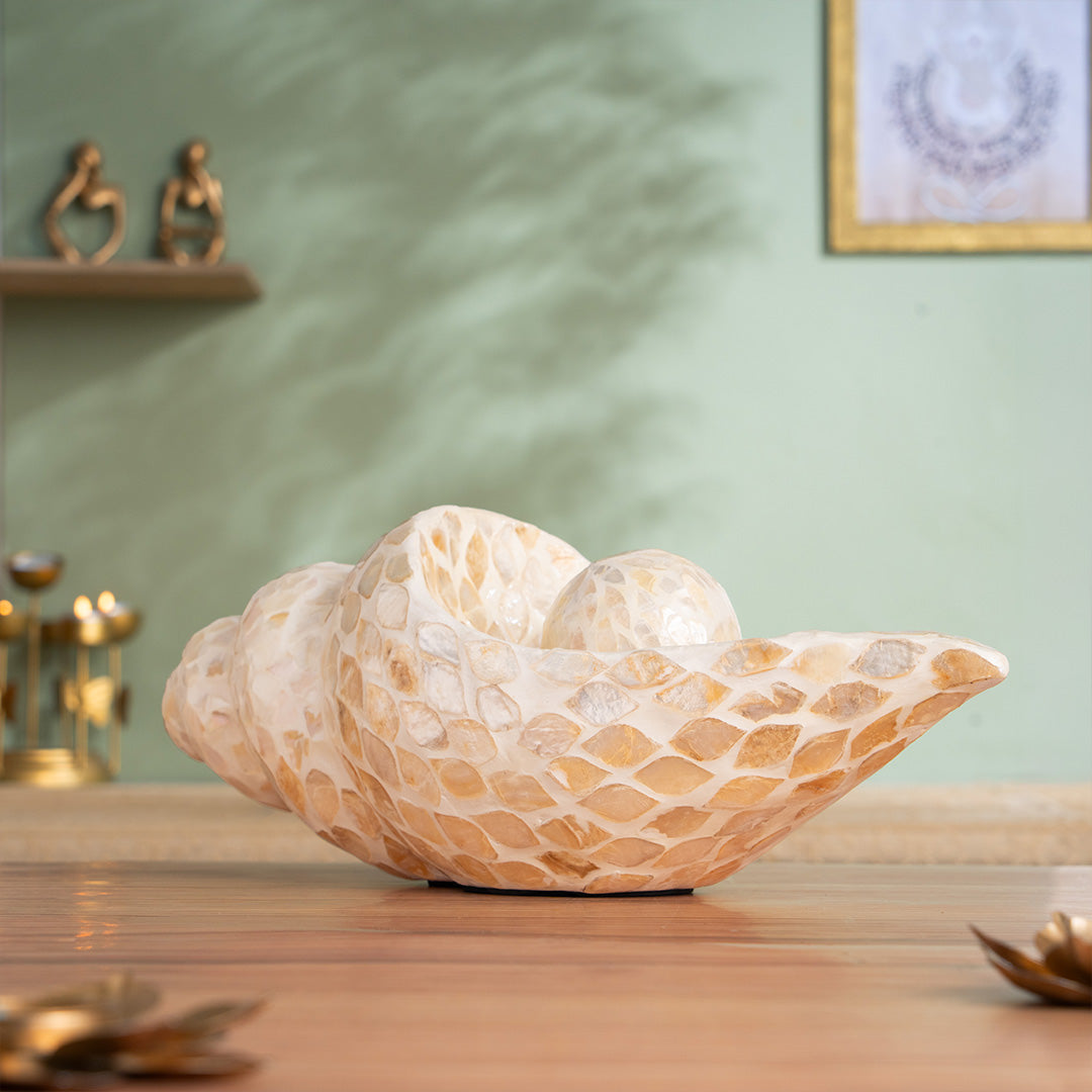 Cobo Shell Luxury Artistic Conch Shell for Home Decor