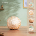  Conch Shell for Home Decor