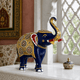 Meenakari Collection collection