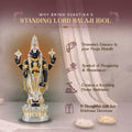 lord standing balaji idol